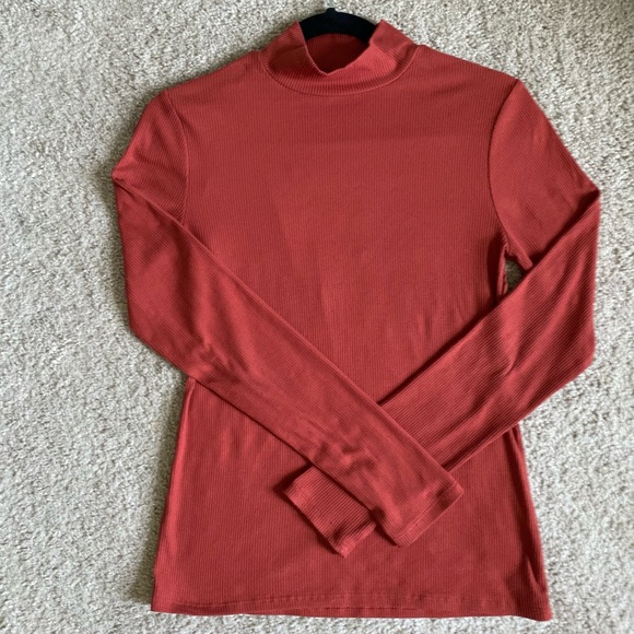 Rust/Burnt Orange | Ribbed Turtleneck - Picture 1 of 2